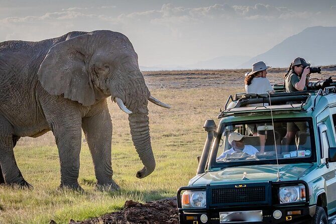 7-Day Serengeti, Ngorongoro & Tarangire Safari